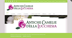 Desktop Screenshot of camelielucchesia.it