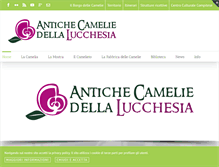 Tablet Screenshot of camelielucchesia.it